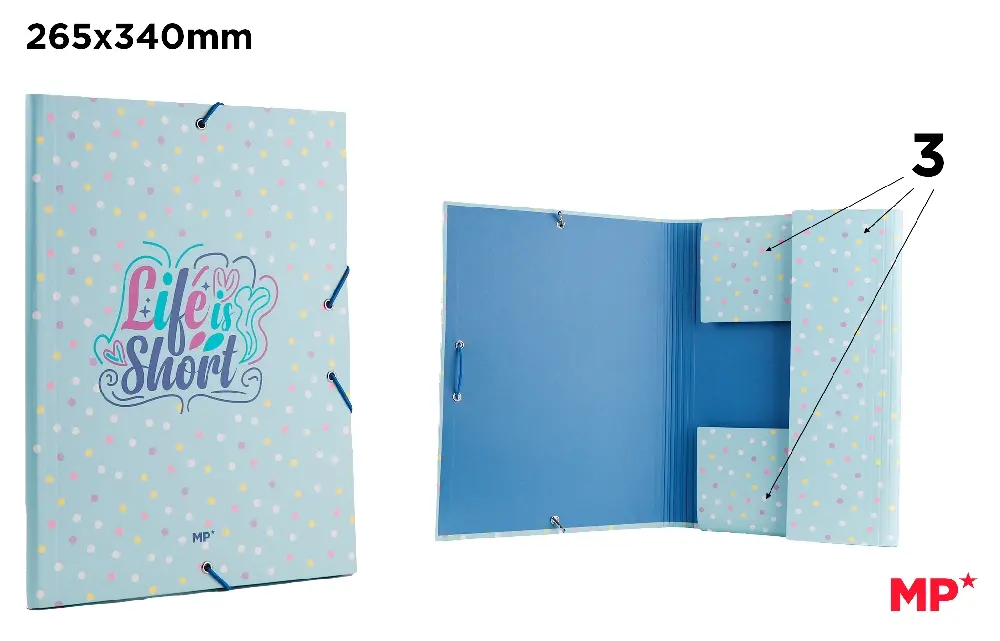 CARPETA CON SOLAPA Y GOMA Fº